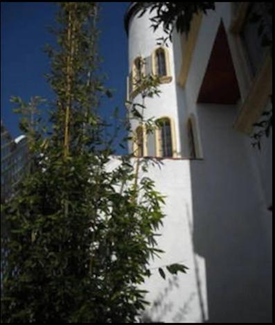Welcome To Casa Viva Mexico 3-Bedrooms 2-Bathroms 6-Guests Close To Shoping Center & Beach Tijuana Luaran gambar